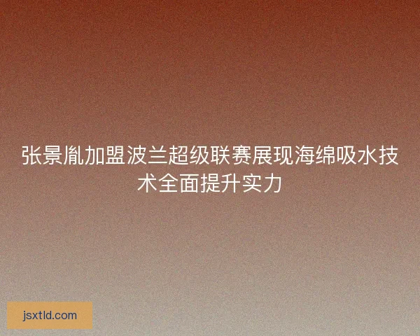张景胤加盟波兰超级联赛展现海绵吸水技术全面提升实力 张景胤加盟波兰超级联赛展现海绵吸水技术全面提升实力
